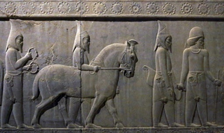 نقش برجسته هخامنشیان
