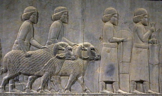 نقش برجسته هخامنشیان