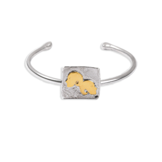 بنگل نقره ساین ماه خرداد طلاباش