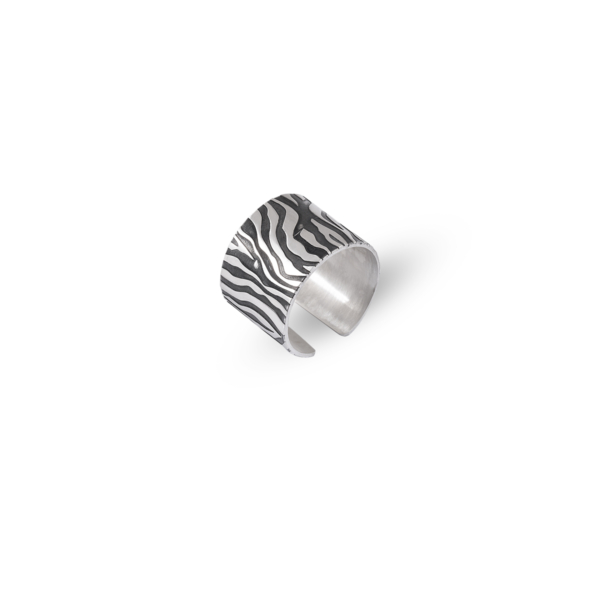 انگشتر نقره زنانه زبرا