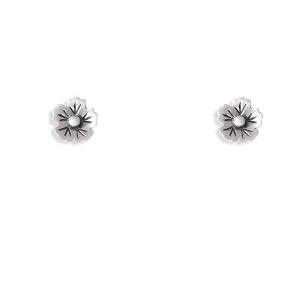 گوشواره نقره زنانه نوبهار